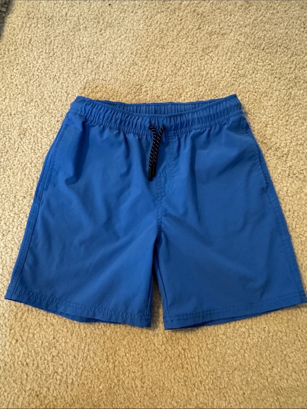Cat & Jack Bright Blue Boys Shorts (Size Large or 10/12)